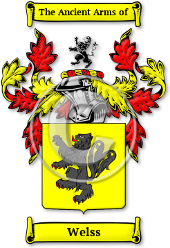 Welss Family Crest Download (jpg) Legacy Series - 150 DPI