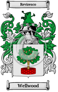 Wellwood Family Crest/Coat of Arms