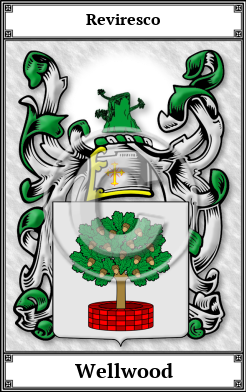 Wellwood Family Crest Download (JPG)  Book Plated - 150 DPI