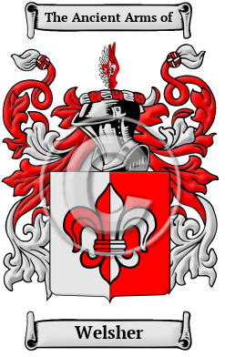 Welsher Family Crest/Coat of Arms