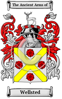 Wellsted Family Crest/Coat of Arms