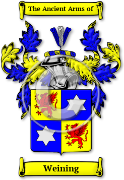 Weining Family Crest Download (jpg) Legacy Series - 150 DPI