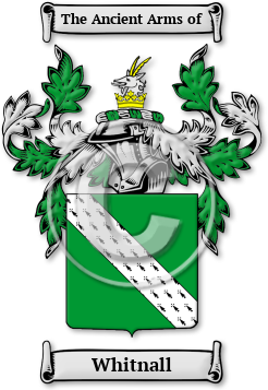 Whitnall Family Crest Download (jpg) Legacy Series - 150 DPI