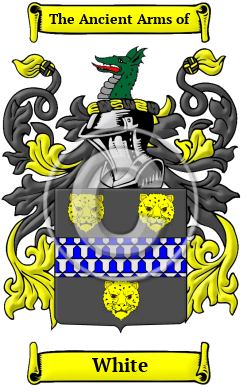 White Family Crest/Coat of Arms