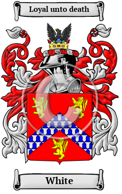 White Name Meaning, Family History, Family Crest & Coats of Arms