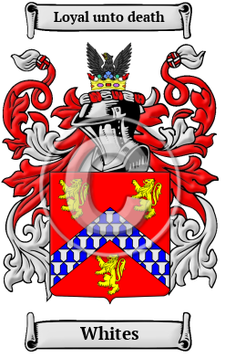 Whites Family Crest/Coat of Arms
