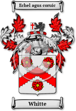 Whitte Family Crest Download (jpg) Legacy Series - 150 DPI