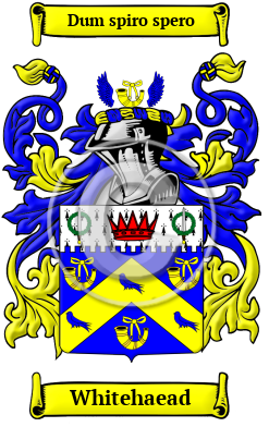 Whitehaead Family Crest/Coat of Arms