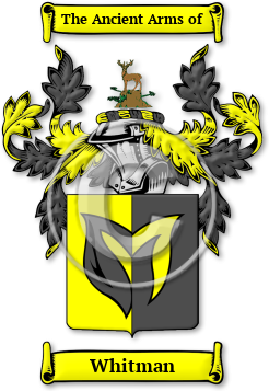 Whitman Family Crest Download (jpg) Legacy Series - 150 DPI