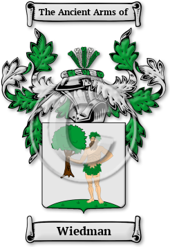 Wiedman Family Crest Download (jpg) Legacy Series - 150 DPI