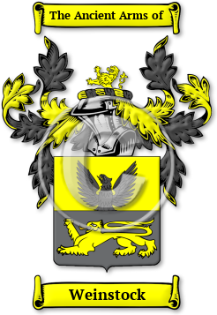 Weinstock Family Crest Download (JPG) Legacy Series - 600 DPI