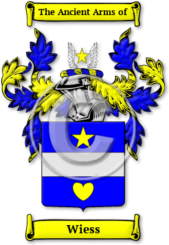 Wiess Family Crest Download (jpg) Legacy Series - 150 DPI