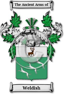 Weldish Family Crest Download (jpg) Legacy Series - 150 DPI