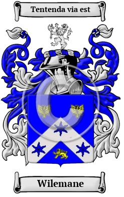 Wilemane Family Crest/Coat of Arms