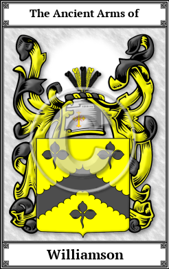 Williamson Family Crest Download (JPG)  Book Plated - 150 DPI