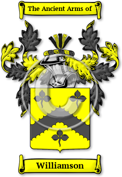 Williamson Family Crest Download (jpg) Legacy Series - 150 DPI