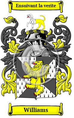 Williams Family Crest/Coat of Arms