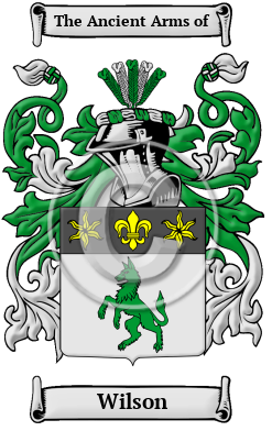 Wilson Name Meaning, Family History, Family Crest & Coats of Arms, Irish