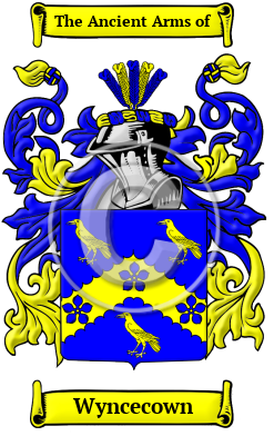 Wyncecown Family Crest/Coat of Arms