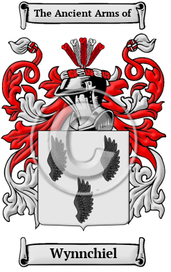 Wynnchiel Family Crest/Coat of Arms