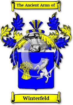 Winterfeld Family Crest Download (jpg) Legacy Series - 150 DPI