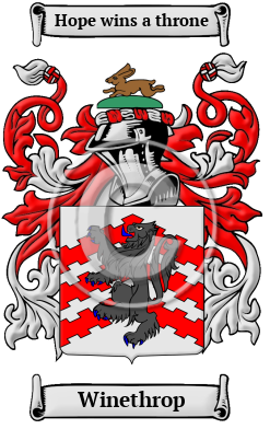 Winethrop Family Crest/Coat of Arms