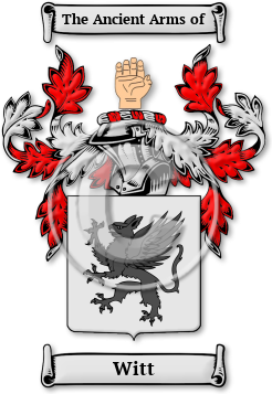 Witt Family Crest Download (jpg) Legacy Series - 150 DPI
