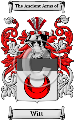 Witt Family Crest/Coat of Arms