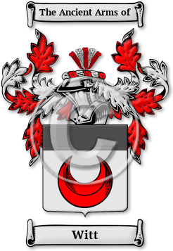 Witt Family Crest Download (jpg) Legacy Series - 150 DPI