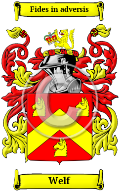 Welf Family Crest/Coat of Arms