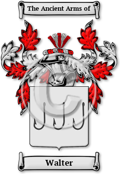 Walter Family Crest Download (jpg) Legacy Series - 150 DPI