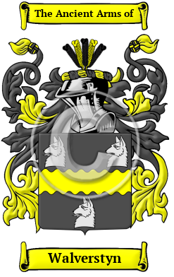 Walverstyn Family Crest/Coat of Arms