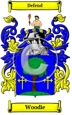 Woodie Family Crest/Coat of Arms