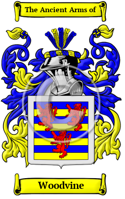 Woodvine Family Crest Download (JPG) Heritage Series - 600 DPI
