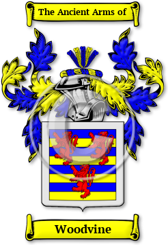 Woodvine Family Crest Download (jpg) Legacy Series - 150 DPI