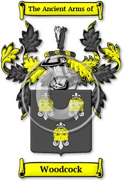 Woodcock Family Crest Download (jpg) Legacy Series - 150 DPI