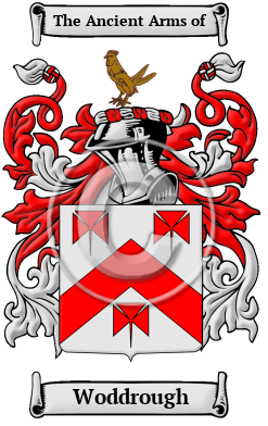 Woddrough Family Crest/Coat of Arms