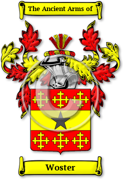 Woster Family Crest Download (jpg) Legacy Series - 150 DPI