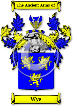 Wye Family Crest Download (JPG) Legacy Series - 600 DPI