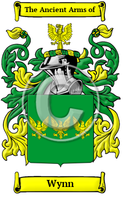 Wynn Family Crest/Coat of Arms
