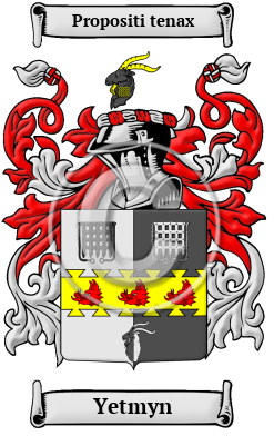 Yetmyn Family Crest/Coat of Arms