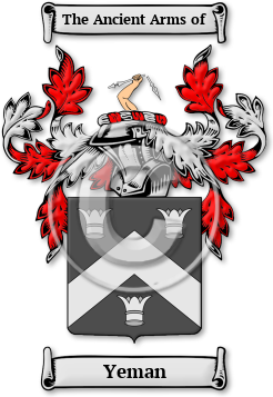 Yeman Family Crest Download (jpg) Legacy Series - 150 DPI