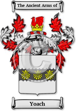 Yoach Family Crest Download (jpg) Legacy Series - 150 DPI