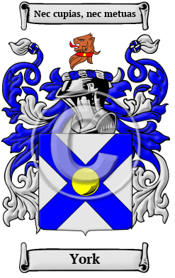 York Family Crest/Coat of Arms
