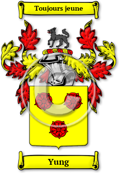 Yung Family Crest Download (JPG) Legacy Series - 600 DPI