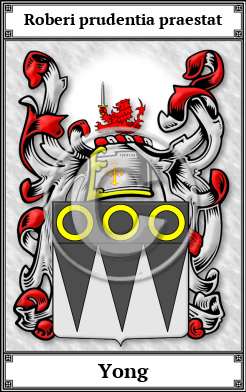 Yong Family Crest Download (JPG)  Book Plated - 150 DPI