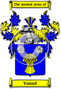Yound Family Crest Download (jpg) Legacy Series - 150 DPI