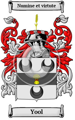 Yool Family Crest/Coat of Arms