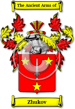 Zhukov Family Crest Download (jpg) Legacy Series - 150 DPI