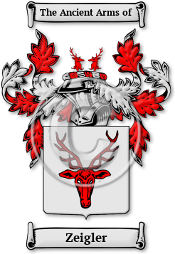 Zeigler Family Crest Download (jpg) Legacy Series - 150 DPI